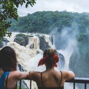 Cairns: Half-Day Premium 4WD Rainforest & Waterfall Tour Cairns: Half-Day Premium 4WD Rainforest & Waterfall Tour
