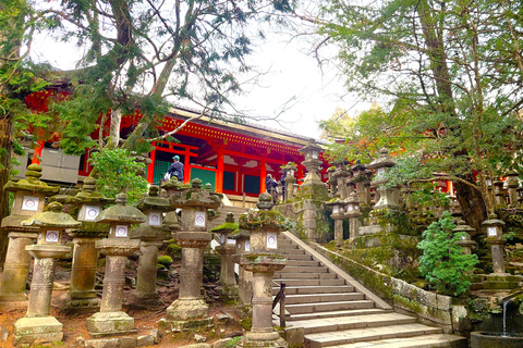 Nara UNESCO-listat världsarv Långsam cykeltur