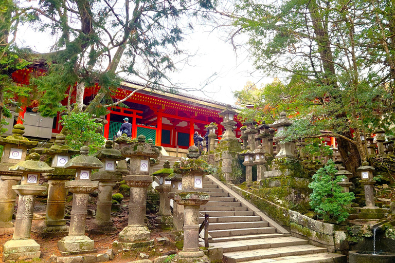 Nara UNESCO-listat världsarv Långsam cykeltur