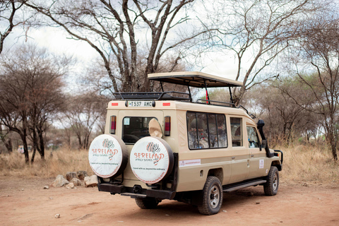 Arusha: Lake Manyara National Park Day Trip with Pickup