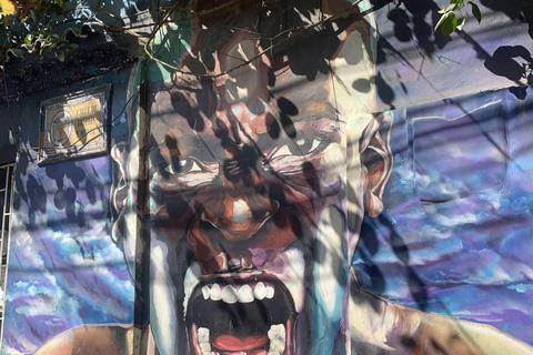 Cartagena: Private Street Art Tour with a Local Muralist