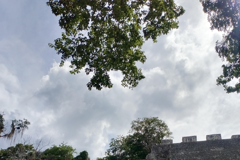 Bacalar: Calakmul ruins, jungle path & stop at the bat cave. Bacalar: Calakmul ruins tour jungle and the bat volcano..