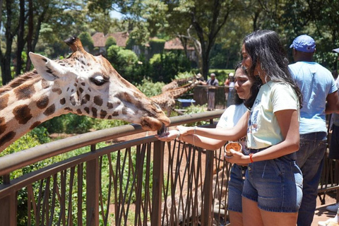 Langata: Rare Rothschild Giraffes Feeding Experience
