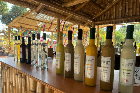 From Lima: Full Day Private All Inclusive Paracas, Ica.