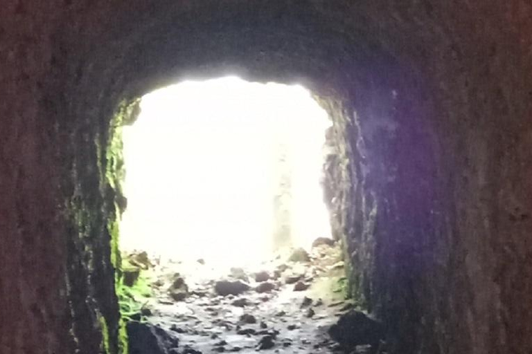 Kakamega Bos: Vogelsafari