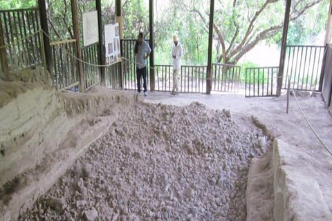 Melka Kunture Archaeological Tour & Coffee