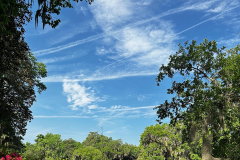 Charleston: Middleton Place Guided Tour with Lunch