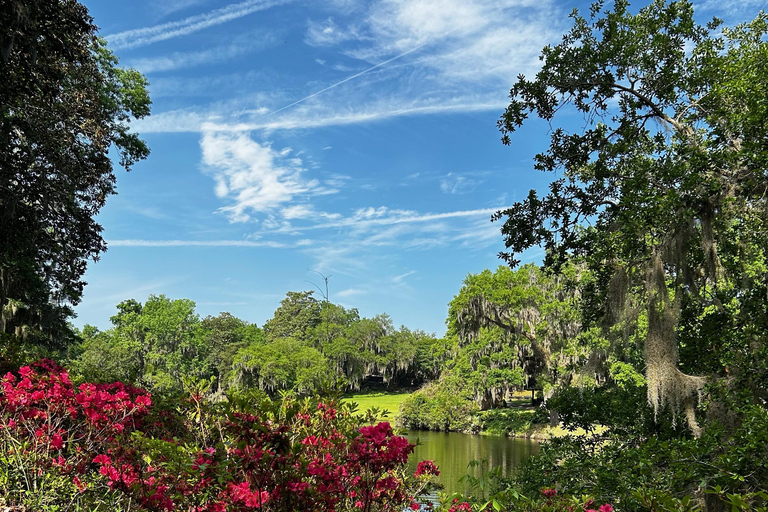 Charleston: Wycieczka z przewodnikiem po Middleton Place z lunchem