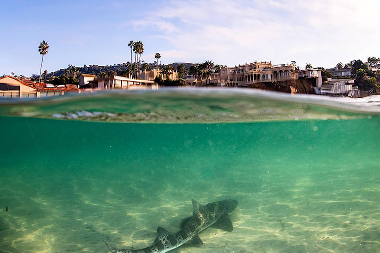 La Jolla: Full-Day Snorkel Gear Rental with Wetsuit Option