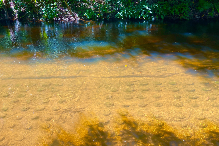 Beng Mealea Banteay Srei and Phnom Kulen Waterfall Day Tour Private-Tour