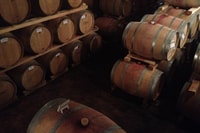 Verona, Amarone Countryside E-Bike Tour en Wine Tasting - Housity