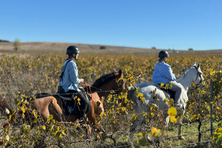 Évora: Horseback riding