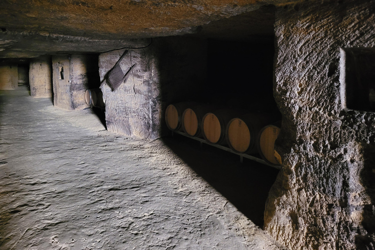 Desde Burdeos: Tour privado a Monbazillac (castillo, vino y gastronomía en Dordoña)Desde Burdeos: tour privado a Monbazillac (castillo, vino y gastronomía en Dordoña)