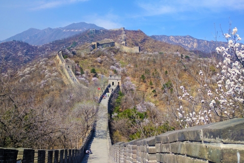 Peking: Private Tour mit lizenziertem Guide und TransferPrivater Reiseleiter zu Fuß für 6-8 Stunden Stadtrundfahrt