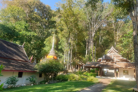 Halvdagsutflykt Wat Pha Lat &amp; Wat Phra That Doi Suthep på morgonenPritave Tour