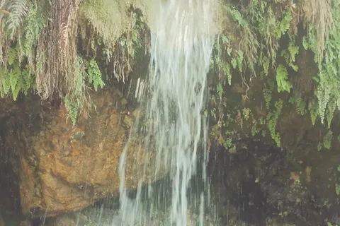 Secret Waterfall Trek