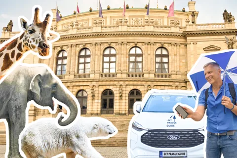 Prag ZOO Transfer med AudioGuide - INGEN adgangsbillet