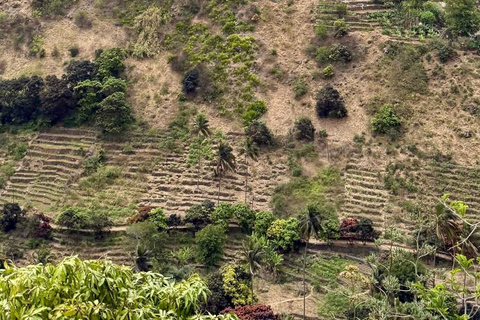 Santiago Island: Serra Malagueta to Principal Guided Hike