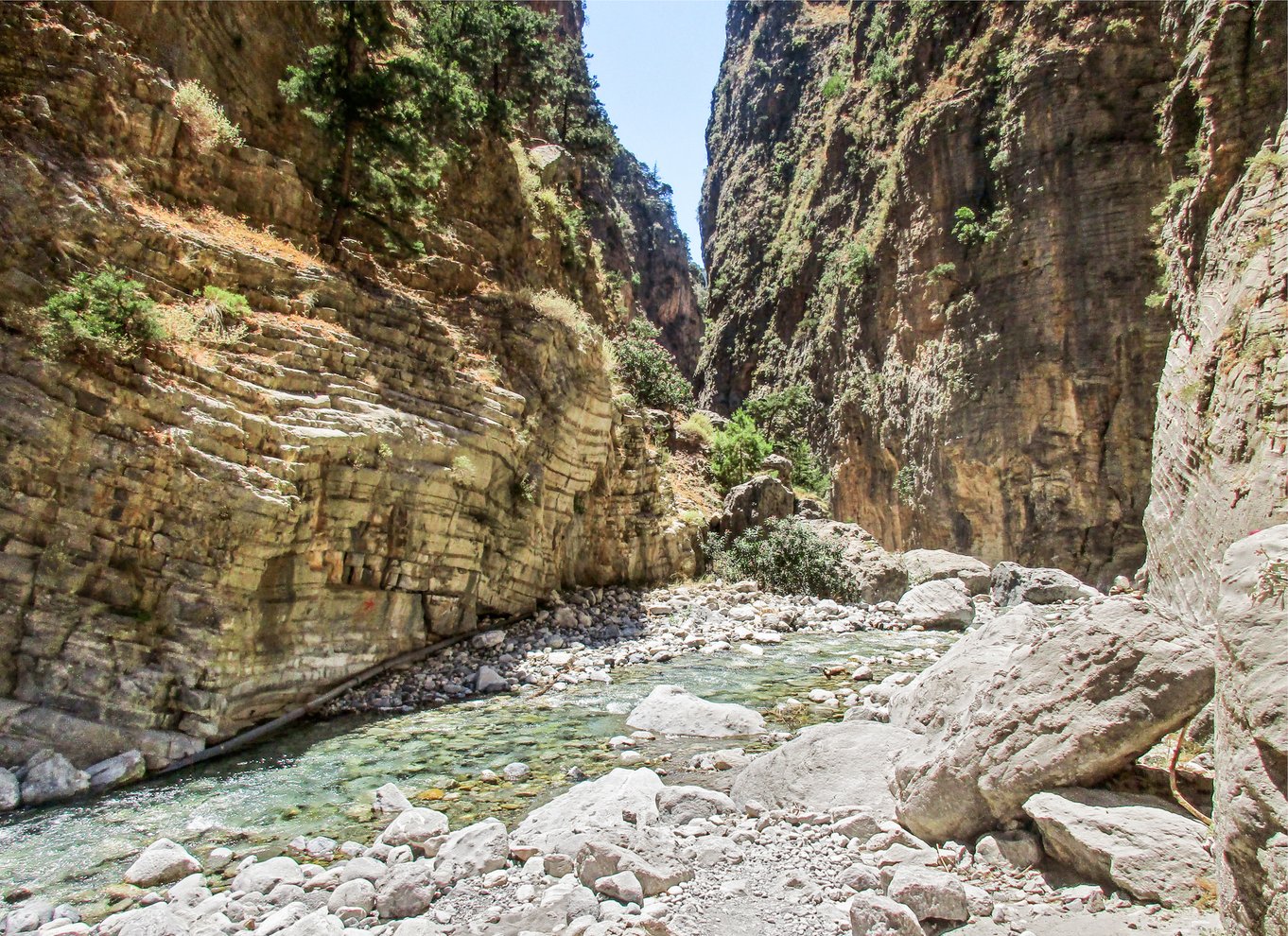 Fra Chania: Heldagsudflugt i Samaria-kløften med guide