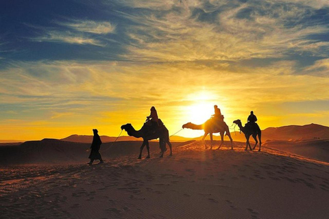 Magisches Abendessen unter den Sternen der Wüste von Agafay und Kamelritt bei Sonnenuntergang