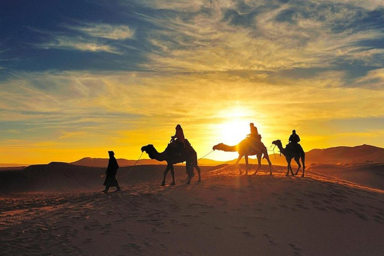 Cena mágica bajo las estrellas del desierto de Agafay y paseo en camello al atardecer