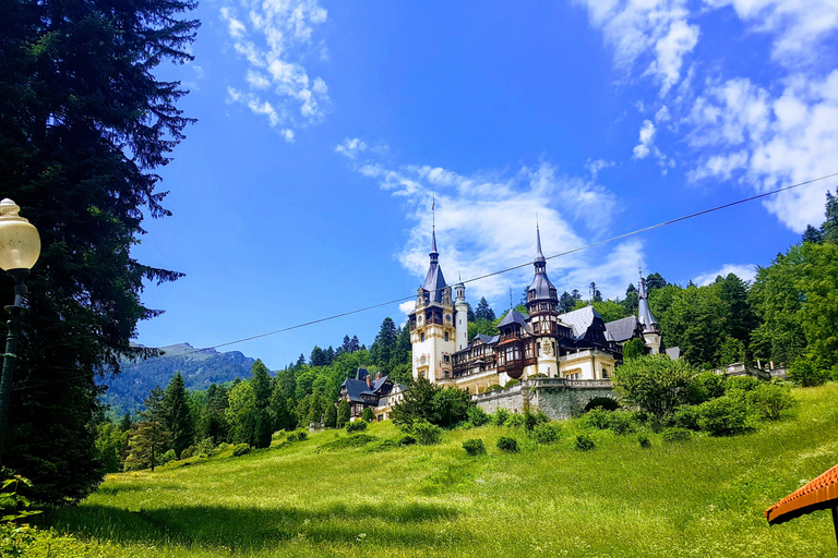 Brasov: Peles Castle, Bran Castle & Belvedere Viewpoint