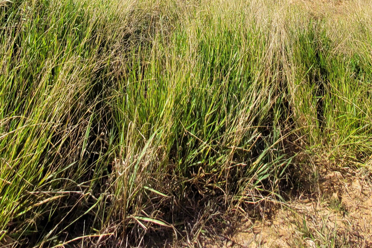 DESAFIO MANTIQUEIRA SELVAGEM - 12 dias desafiadores pelas montanhas!!