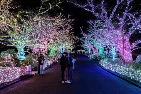 Yomiuri land: Na Pas