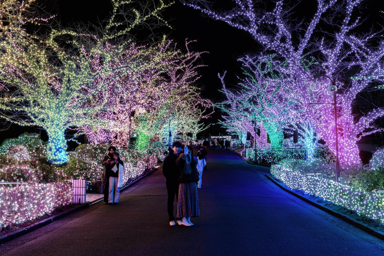 Yomiuri land: Dopo il Pass