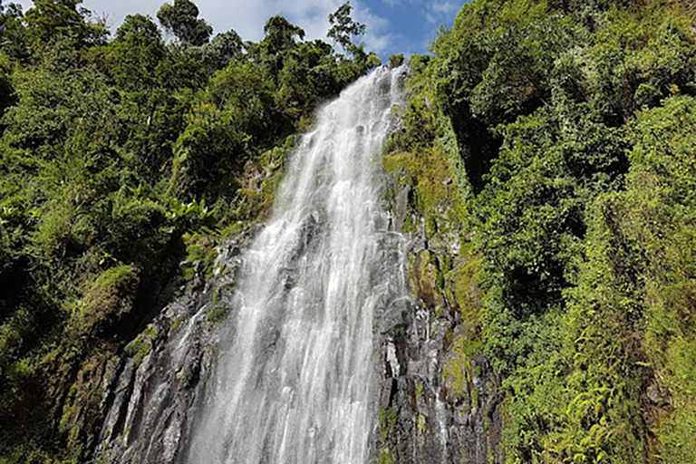 Moshi: Materuni Waterfall and Coffee Tour with Lunch