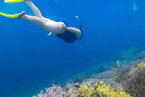 Lombok: Romantic Island Escape—Gili Nanggu, Sudak & Kedis Start From : Tetebatu,Bangsal Port,Teluk Nara Port