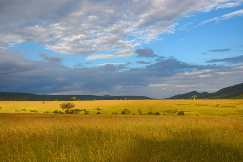 8-Day Safari Amboseli, Masai Mara, Lake Nakuru & Mombasa