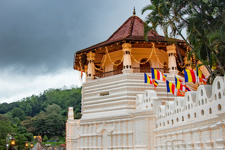 Sri Lanka: 6 Days and 5 Nights Highlight Tour With Guide 6 Days Tour with Car