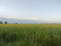 Tour di tutta la giornata a Siem Reap di Tuk Tuk - Hizvo