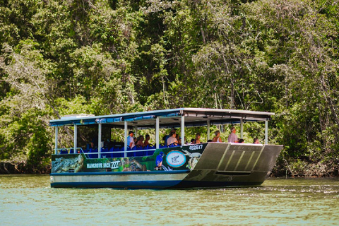 Daintree: Rejs po rzece Daintree z przewodnikiem