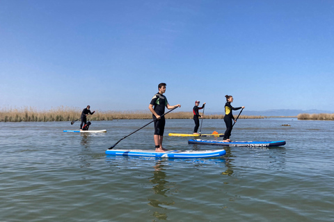 Paddleboard Excursion along the Ebro Delta - 7 routes Paddle surfing excursion through the Ebro Delta – 7 routes