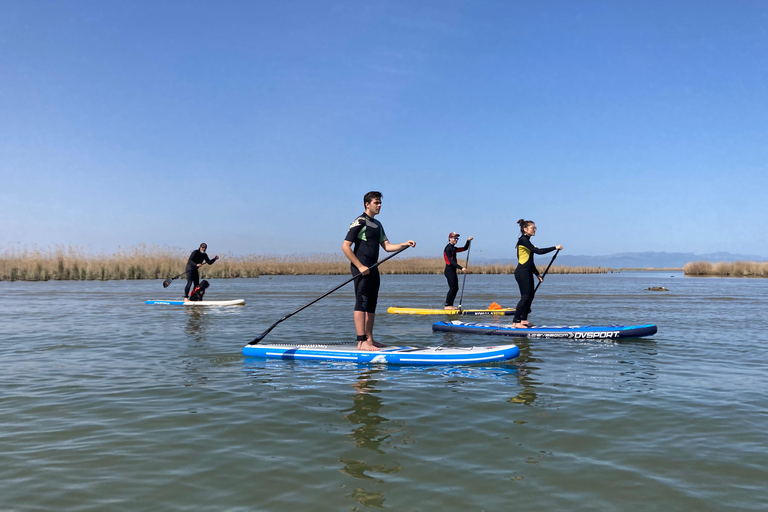 Paddleboard Excursion along the Ebro Delta - 7 routes Paddle surfing excursion through the Ebro Delta – 7 routes