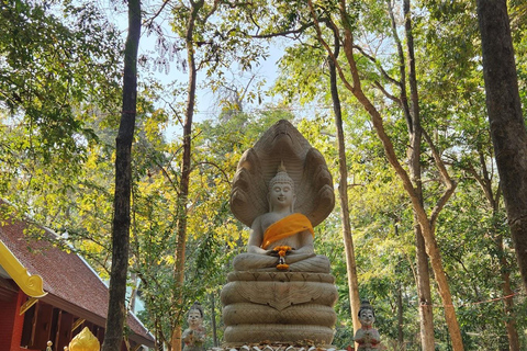 Chiang Mai:Wat Phra That Doi Suthep & Wat Umong Evening Tour Chiang Mai: Wats Phra That Doi Suthep & Umong Evening Tour