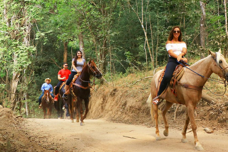 Medellin: Horseback Riding & Craft Beer, The Perfect Plan in the East