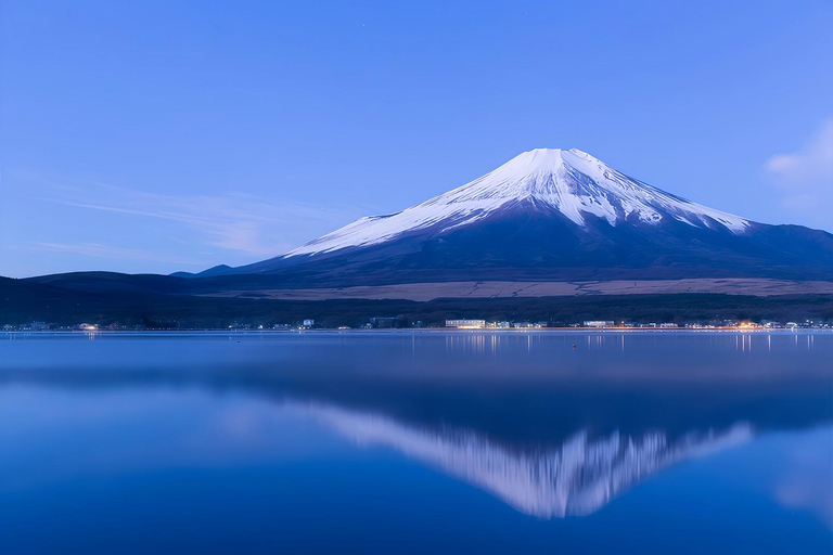 Mount Fuji Day Tour: Instagrammable Spots + Scenic Train From Tokyo (Including ropeway and cruise)