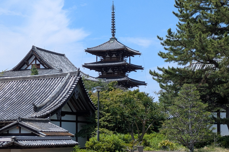 From Osaka: Horyuji Temple and Mount Ikoma Day Tour