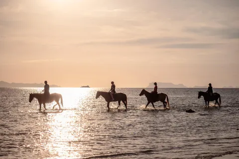 Koh Samui: Reiten bei Sonnenuntergang am Strand