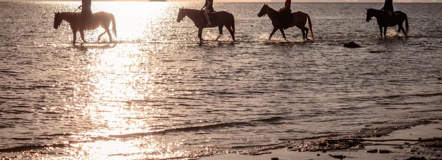 Koh Samui : Randonnée à cheval sur la plage au coucher du soleil