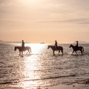 Koh Samui: Sunset Trail Horse Riding on the Beach Koh Samui: Sunset Trail Horse Riding on the Beach