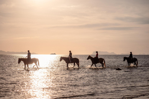 Viaje a caballo por la playa al atardecer de Phuket