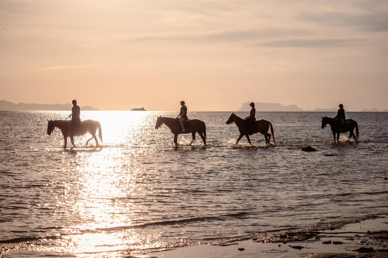 Viaje a caballo por la playa al atardecer de Phuket