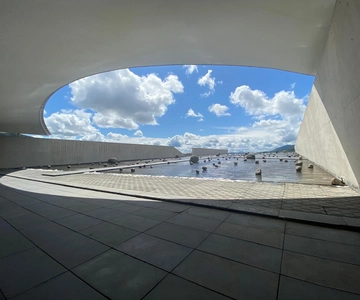Ruta del Vino Viña Vik y Experiencia Holística