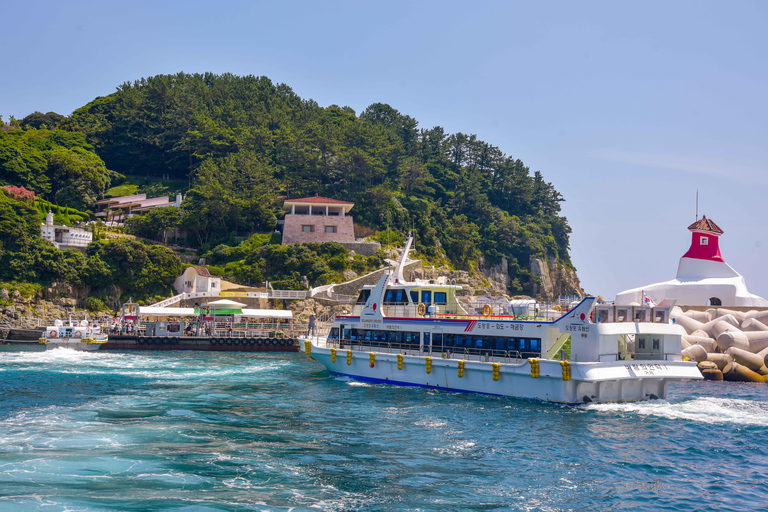 Oedo Island Botania & Geoje Private Day Tour from Busan