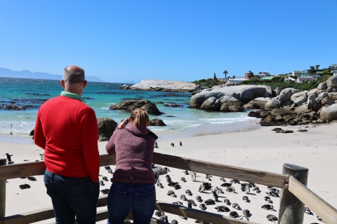 Ciudad del Cabo: observación de pingüinos en la playa de Boulders, tour de medio día