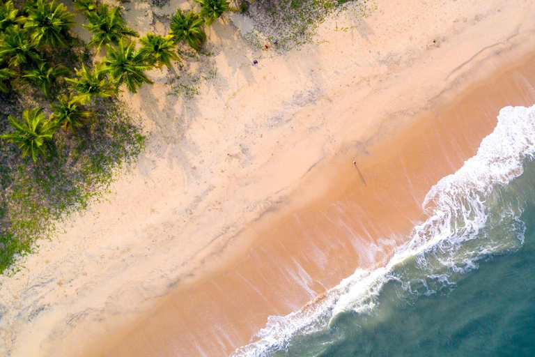 Piękna wycieczka na plażę Mararikulam (02 noce / 03 dni)